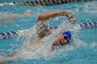 Swimming vs CGA  Wheaton College Swimming & Diving vs Coast Guard Academy. - Photo By: KEITH NORDSTROM : Wheaton, Swimming, diving